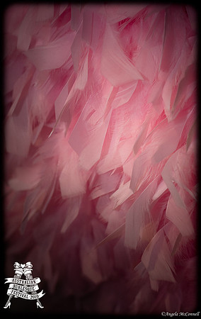 Photography by Angela McConnell-20100603-7084