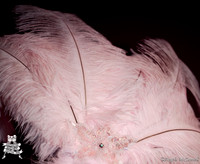 Photography by Angela McConnell-20100603-7074