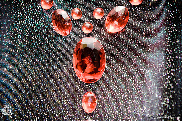 Photography by Angela McConnell-20110604-8599