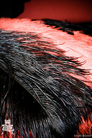 Photography by Angela McConnell-20110604-8597