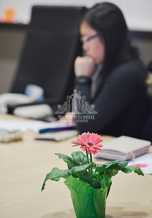 A pink potted gerbera sits on a board room table while in he background a woman writes in a notebook during an exercise at a workshop
