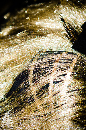 Photography by Angela McConnell-20110604-8598