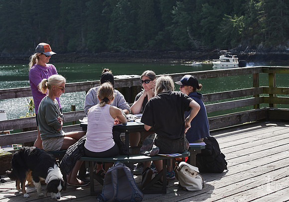 The Braving Workshop | Bowen Island | June 2019