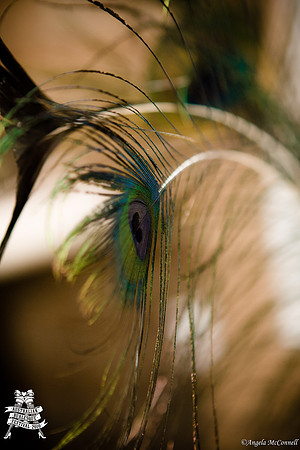 Photography by Angela McConnell-20110604-8645